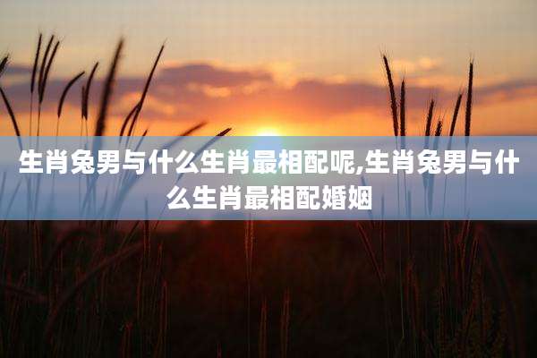生肖兔男与什么生肖最相配呢,生肖兔男与什么生肖最相配婚姻