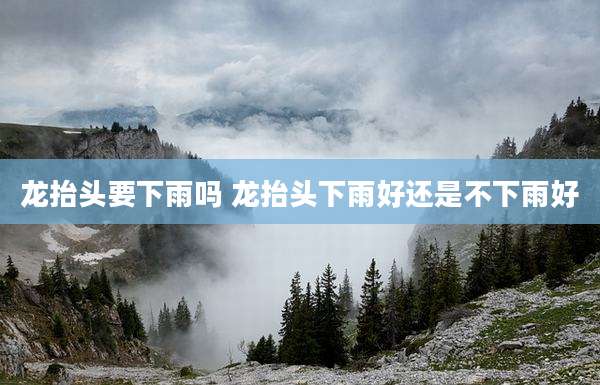 龙抬头要下雨吗 龙抬头下雨好还是不下雨好