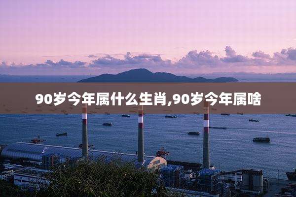 90岁今年属什么生肖,90岁今年属啥