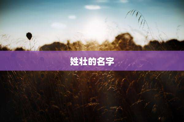 姓壮的名字
