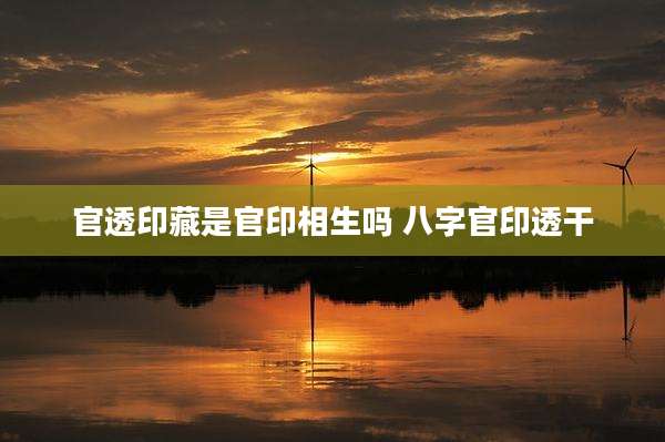 官透印藏是官印相生吗 八字官印透干
