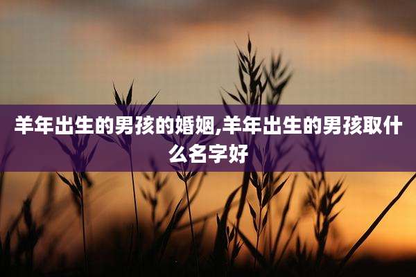羊年出生的男孩的婚姻,羊年出生的男孩取什么名字好