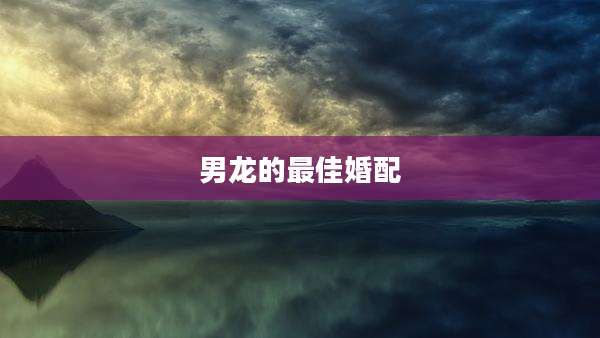 男龙的最佳婚配