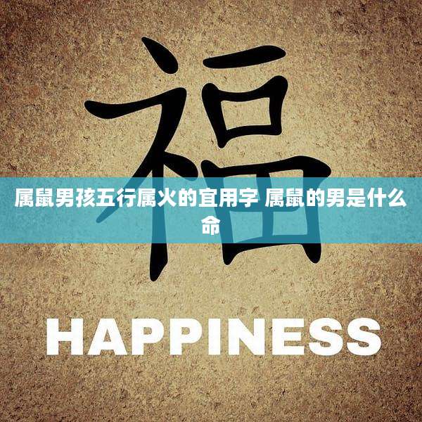 属鼠男孩五行属火的宜用字 属鼠的男是什么命