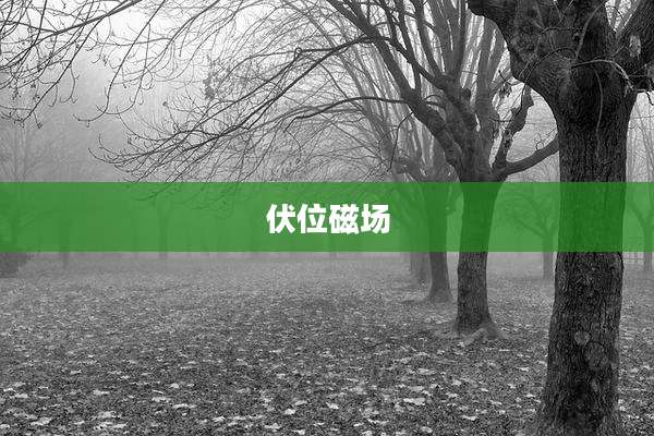 伏位磁场