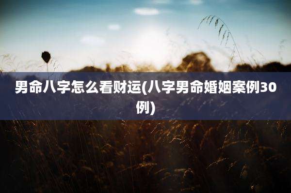 男命八字怎么看财运(八字男命婚姻案例30例)