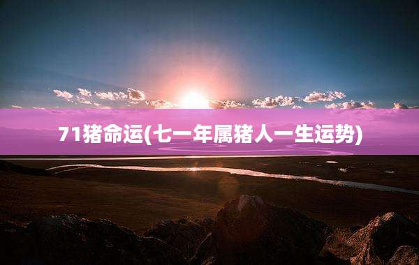 71猪命运(七一年属猪人一生运势)