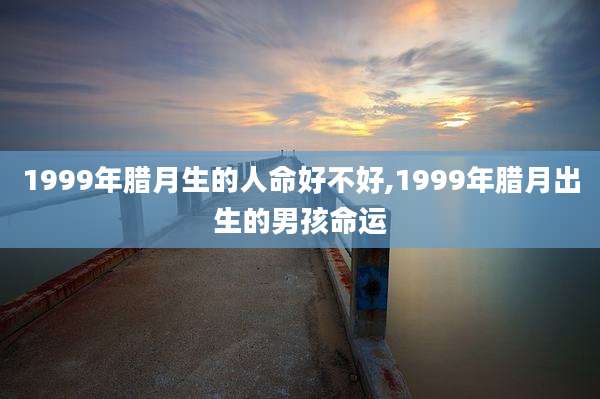 1999年腊月生的人命好不好,1999年腊月出生的男孩命运