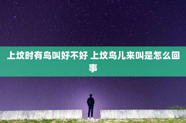 上坟时有鸟叫好不好 上坟鸟儿来叫是怎么回事