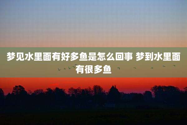 梦见水里面有好多鱼是怎么回事 梦到水里面有很多鱼