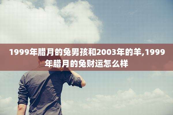 1999年腊月的兔男孩和2003年的羊,1999年腊月的兔财运怎么样