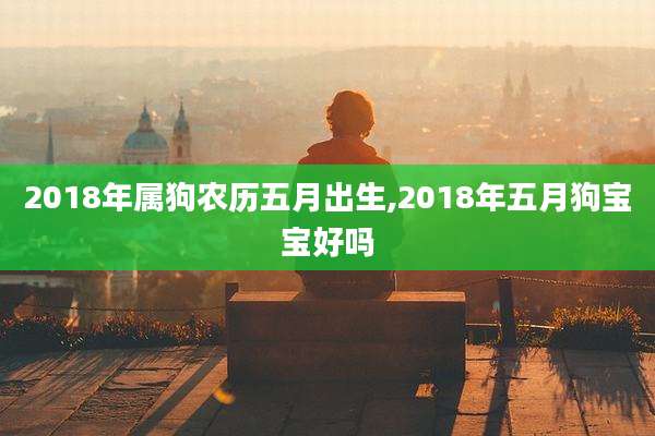 2018年属狗农历五月出生,2018年五月狗宝宝好吗