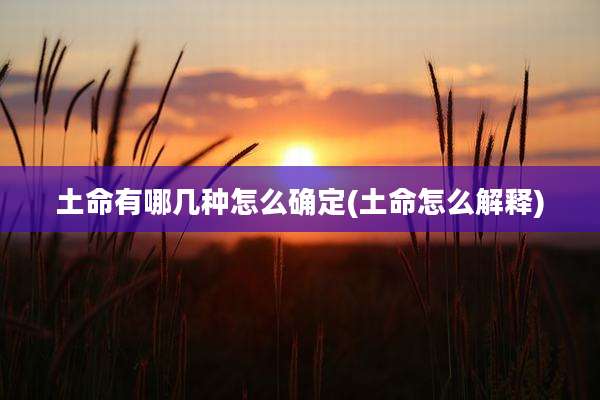 土命有哪几种怎么确定(土命怎么解释)