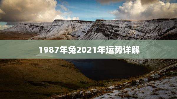 1987年兔2021年运势详解
