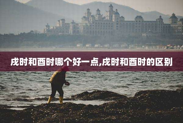 戌时和酉时哪个好一点,戌时和酉时的区别