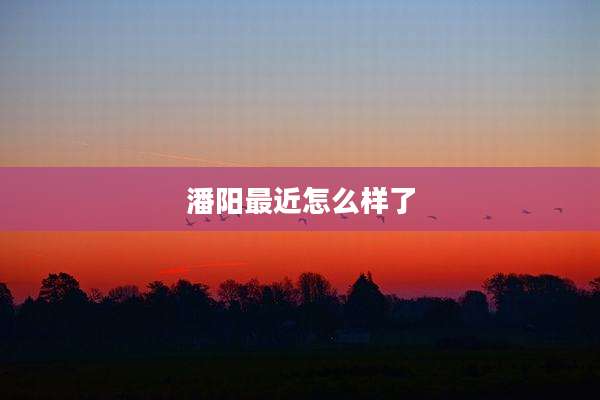 潘阳最近怎么样了