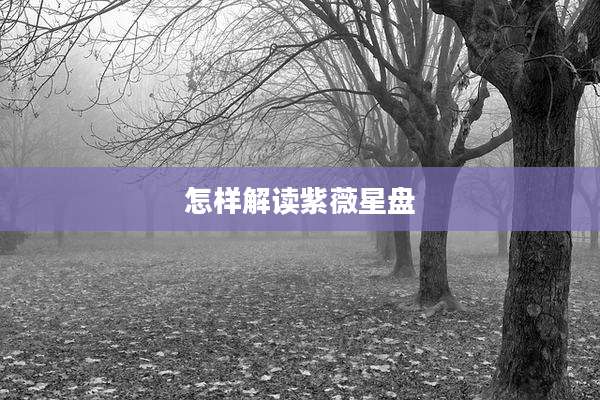 怎样解读紫薇星盘