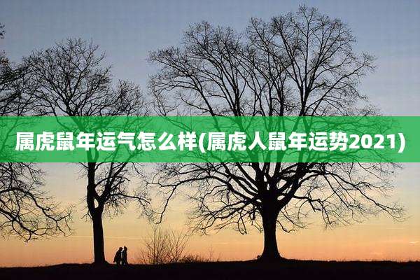 属虎鼠年运气怎么样(属虎人鼠年运势2021)