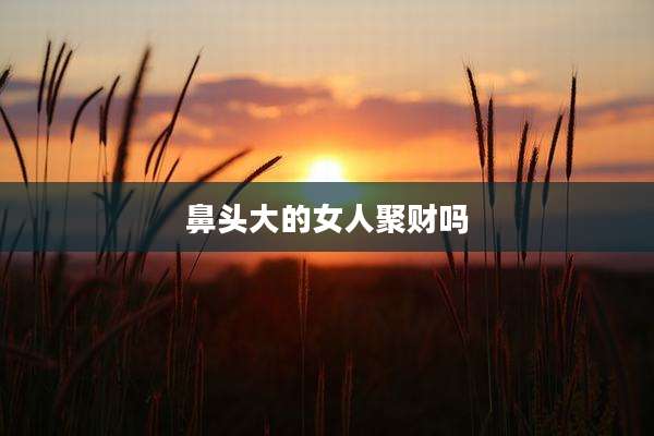 鼻头大的女人聚财吗