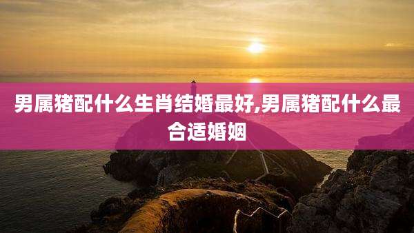 男属猪配什么生肖结婚最好,男属猪配什么最合适婚姻