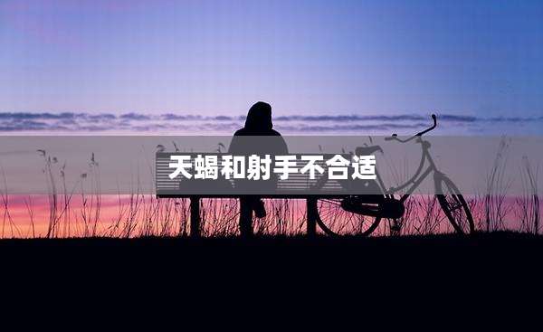天蝎和射手不合适