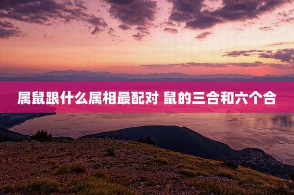 属鼠跟什么属相最配对 鼠的三合和六个合