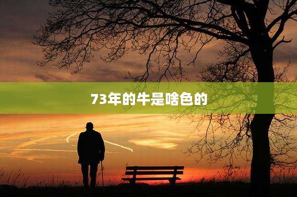 73年的牛是啥色的