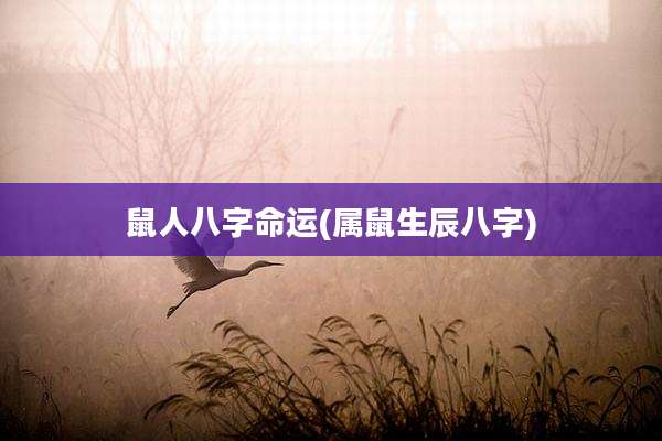 鼠人八字命运(属鼠生辰八字)