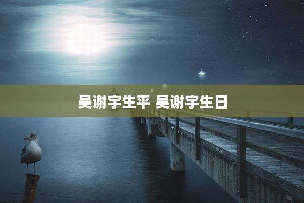吴谢宇生平 吴谢宇生日