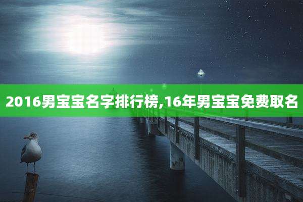 2016男宝宝名字排行榜,16年男宝宝免费取名