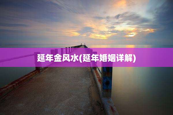 延年金风水(延年婚姻详解)