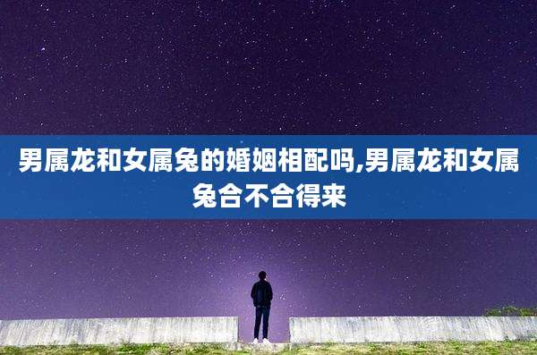 男属龙和女属兔的婚姻相配吗,男属龙和女属兔合不合得来