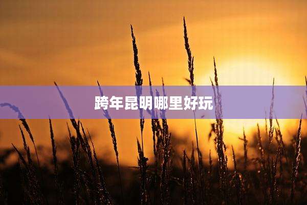 跨年昆明哪里好玩