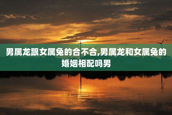 男属龙跟女属兔的合不合,男属龙和女属兔的婚姻相配吗男