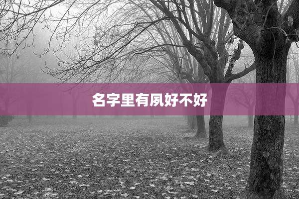 名字里有夙好不好