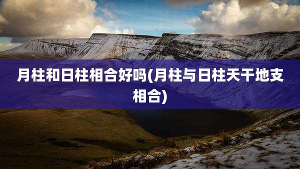 月柱和日柱相合好吗(月柱与日柱天干地支相合)