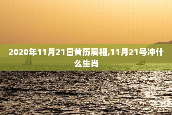 2020年11月21日黄历属相,11月21号冲什么生肖