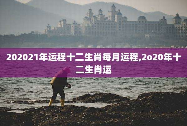 202021年运程十二生肖每月运程,2o20年十二生肖运