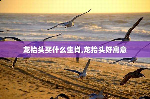 龙抬头买什么生肖,龙抬头好寓意