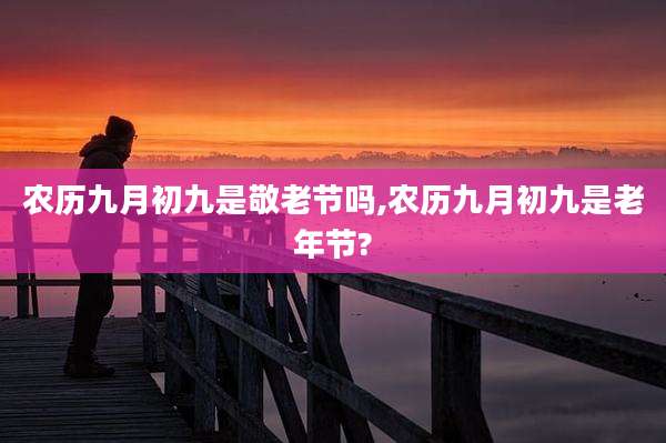 农历九月初九是敬老节吗,农历九月初九是老年节?