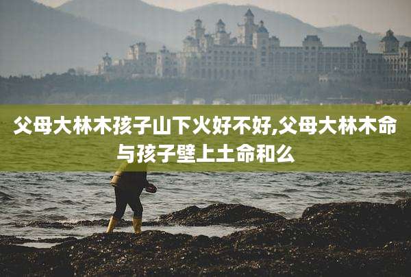 父母大林木孩子山下火好不好,父母大林木命与孩子壁上土命和么