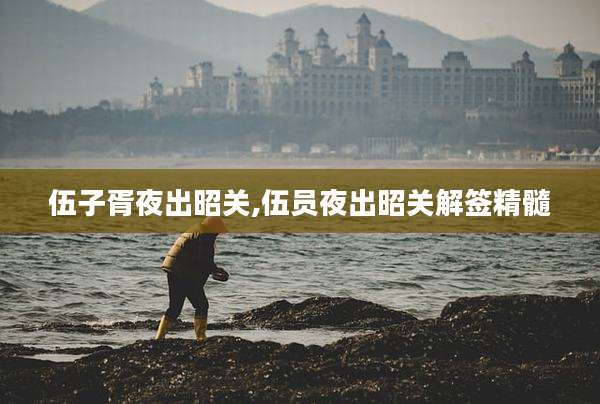 伍子胥夜出昭关,伍员夜出昭关解签精髓