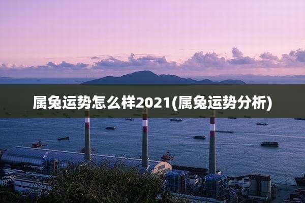 属兔运势怎么样2021(属兔运势分析)