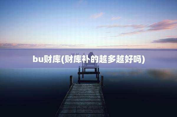bu财库(财库补的越多越好吗)