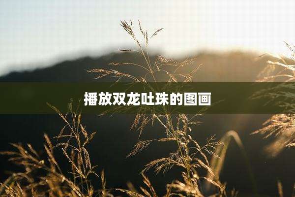 播放双龙吐珠的图画