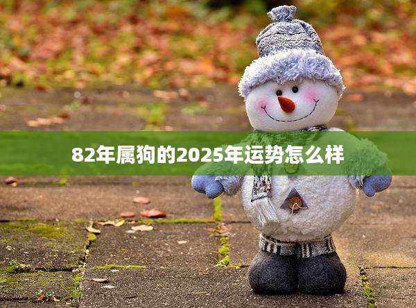 82年属狗的2025年运势怎么样