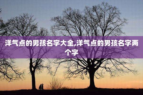 洋气点的男孩名字大全,洋气点的男孩名字两个字
