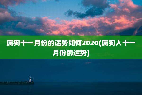 属狗十一月份的运势如何2020(属狗人十一月份的运势)