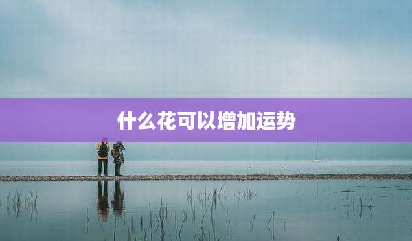什么花可以增加运势