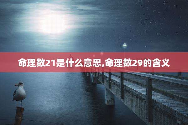 命理数21是什么意思,命理数29的含义
